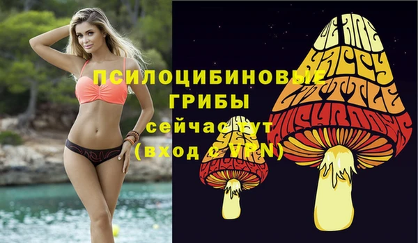 Альфа ПВП Балабаново